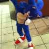 Sonic Costume