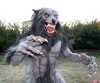 Werewolf Costume Halloween 2010 by creeves76